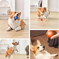 The Viral Auto Pup dog ball