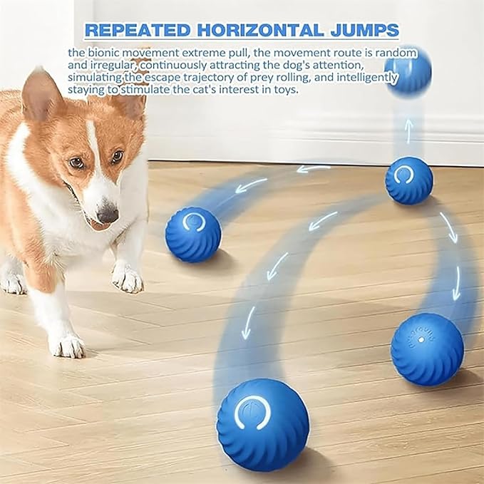 The Viral Auto Pup dog ball