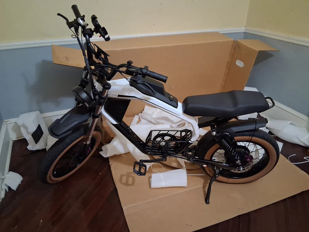 Full suspension fat tire electric motorbike