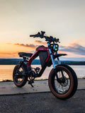 Full suspension fat tire electric motorbike